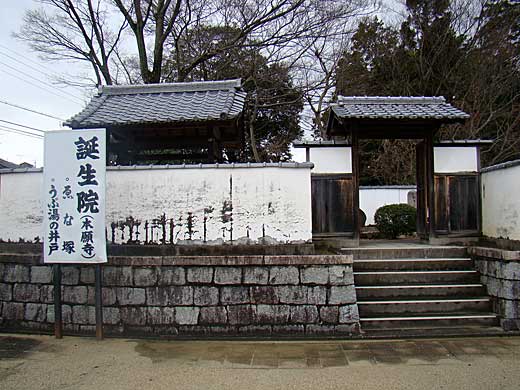 日野誕生院 26121015194 の写真・イラスト素材アマナイメージズ