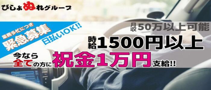 送迎ドライバー グランドオペラ横浜 高収入の風俗男性求人ならFENIX JOB