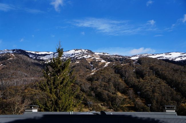 オーストラリア大陸最高峰・コジオスコ 2,228m 登頂とブルーマウンテンズ国立公園西遊旅行の添乗員同行ツアー 143号