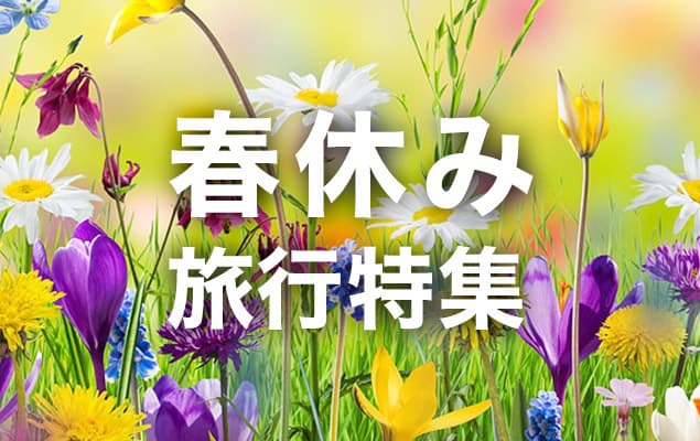 春旅で人気のおすすめ旅行記・ブログ 国内フォートラベル