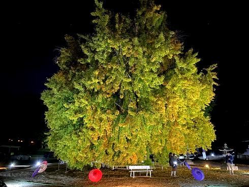 吉備津神社 御朱印 -