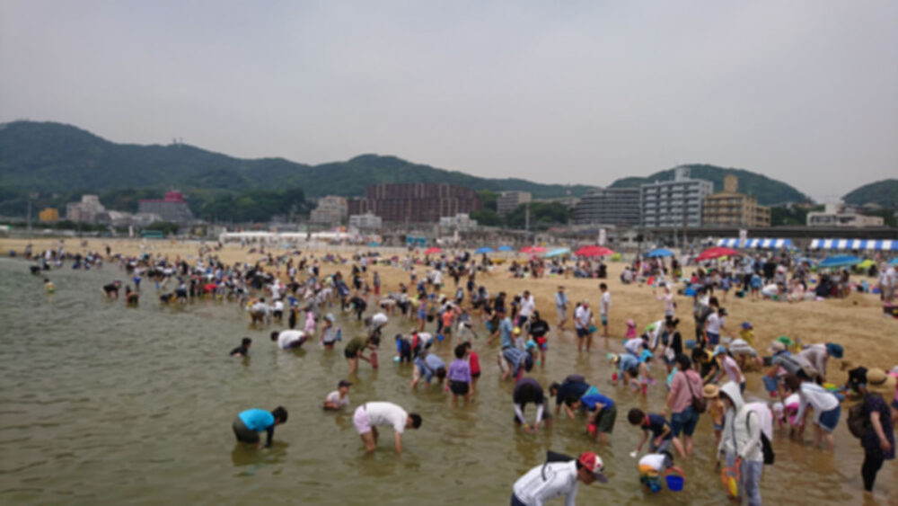 走水海岸 「潮回り」週末中心に良好 潮干狩りシーズン到来横須賀・三浦タウンニュース