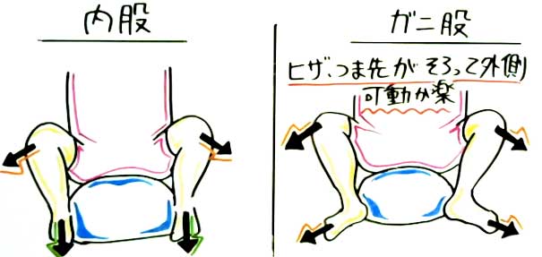 騎乗位のやり方や動き方をイラストで解説！グラインド（腰振り）時や体位の応用も