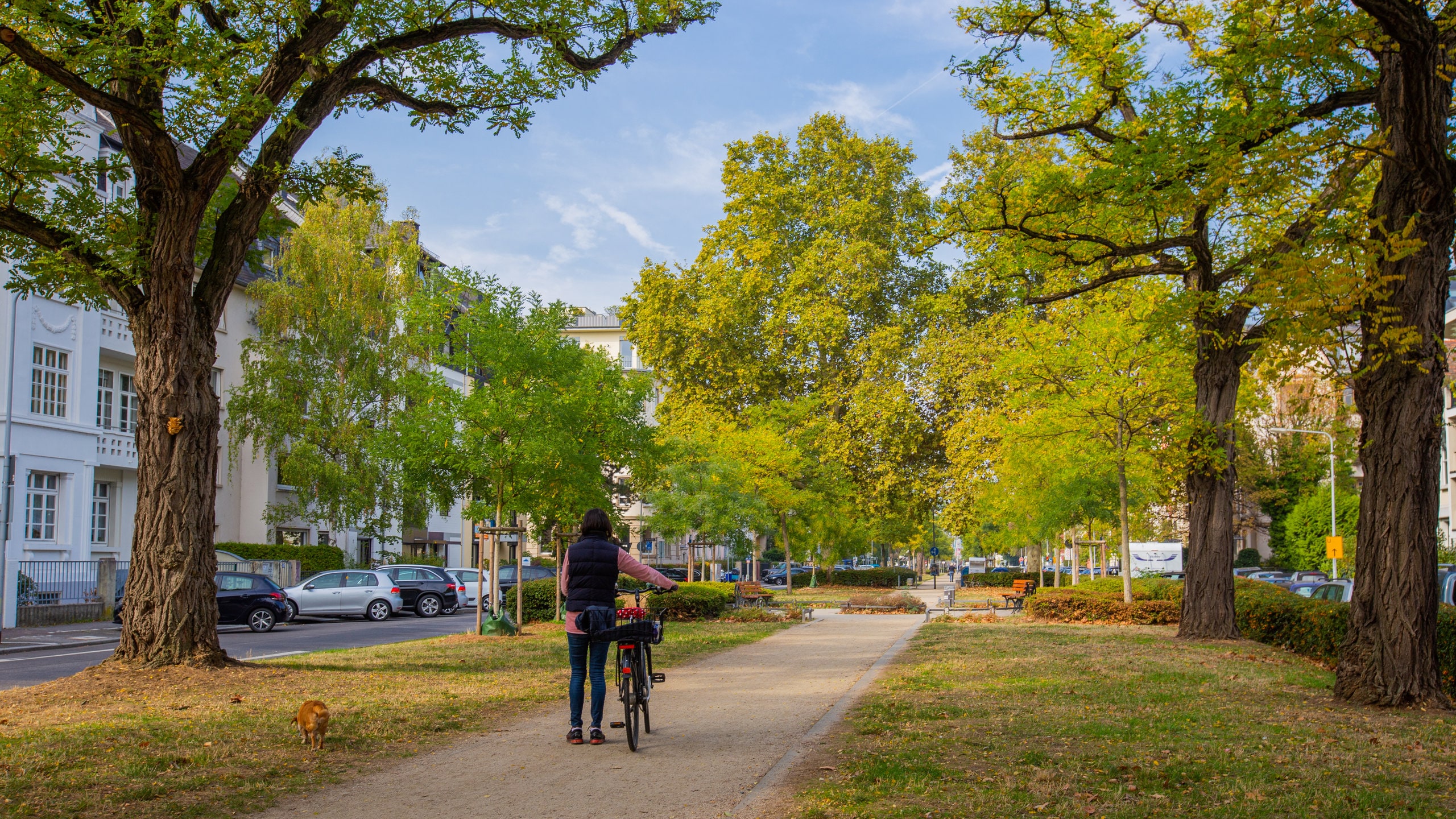 📺3月26日放送 ドイツ・フランクフルト🇩🇪📍Kleinmarkthalle 📍Eiserner Steg