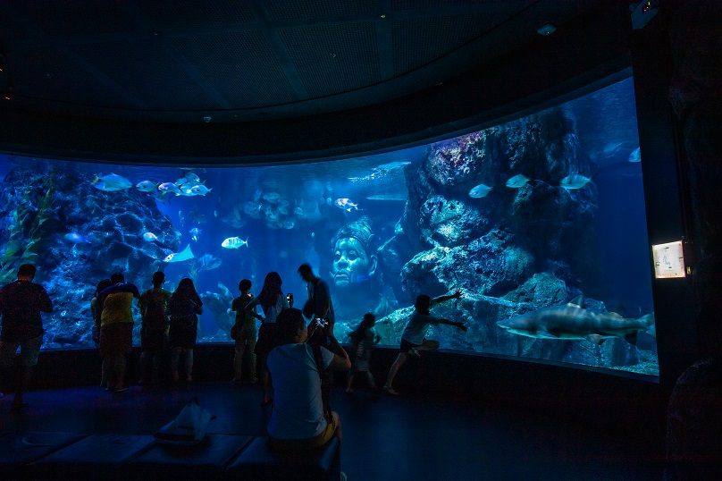 2025年タイ人気の水族館体験ゲットユアガイドGetYourGuide