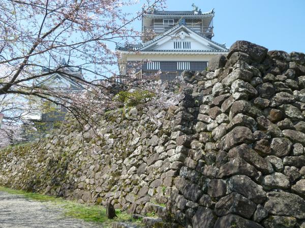 越前大野城 -福井県 の詳細情報ことりっぷ