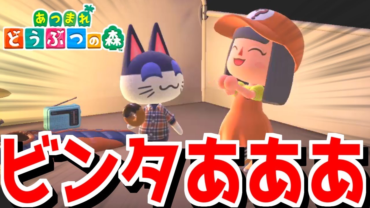 あつ森 住民一覧誕生日・性格 あつまれどうぶつの森-
