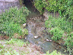 念願の歌枕の竜田川に行く森村一樹