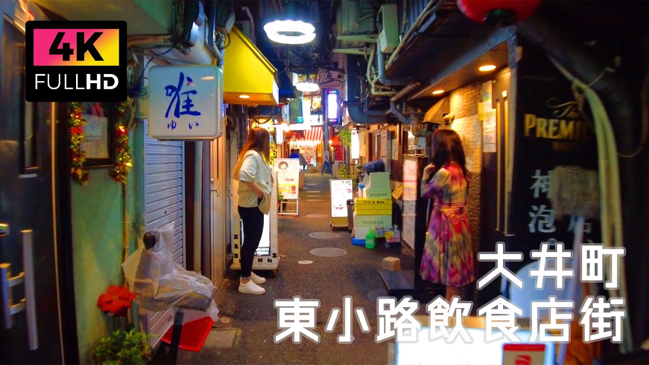 大井町東小路飲食店街 大井町東口商店街 沿線ガイド 駅ナビお台場電車