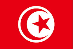 トルコの国旗 - 世界の国旗