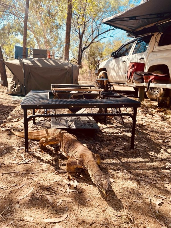 予算別 キャンプデビューの方必見！ソロキャンプにおすすめな100万円〜300万円の中古車5選車選びドットコムマガジン
