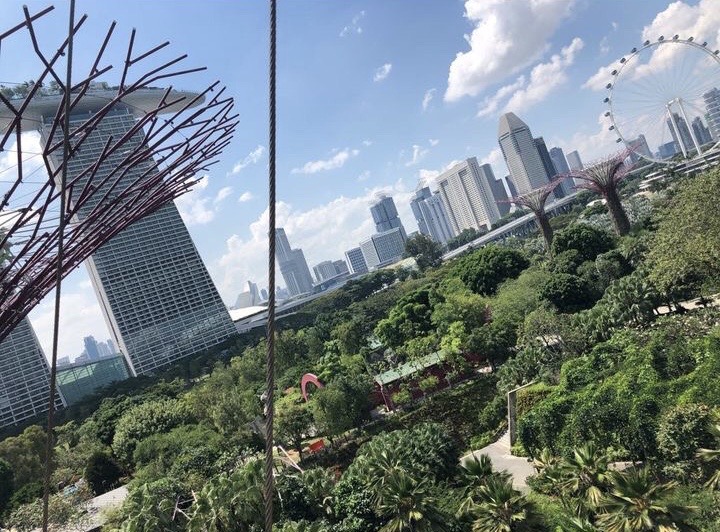 シンガポール 女性一人旅でおすすめの観光地や宿泊施設紹介みたらしのブログ
