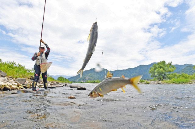 内水面の遊漁 釣り の紹介 千葉県