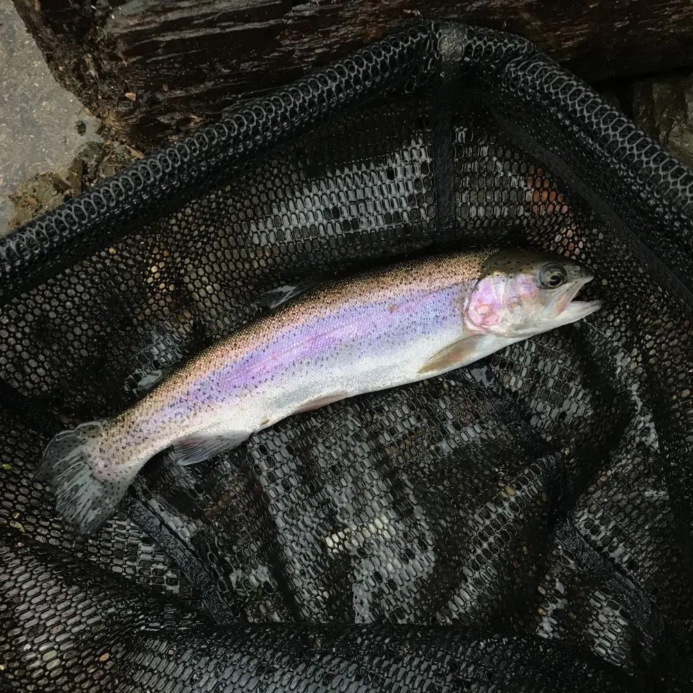 梅田湖 - 名所・観光地桐生市 - ぐんラボ