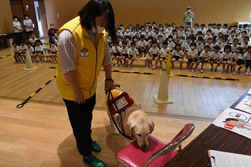 仕事中だよ、見守って 兵庫盲導犬協会 加古川の幼稚園で講演 ／兵庫 |