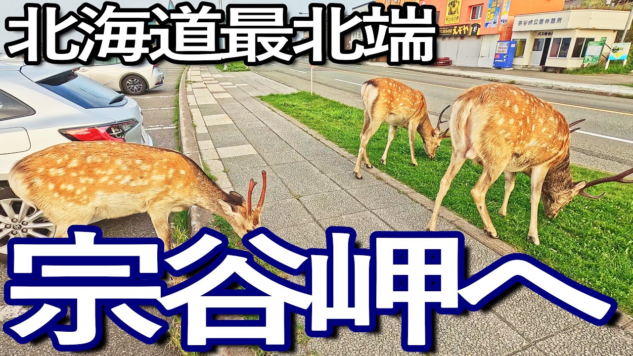 北海道の岬をめぐる端っこドライブ旅！〜津軽海峡＆日本海沿岸ルート〜 - Tabist