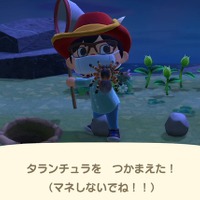 あつ森 みんなが名付けた島の名前が面白すぎるwwwwww