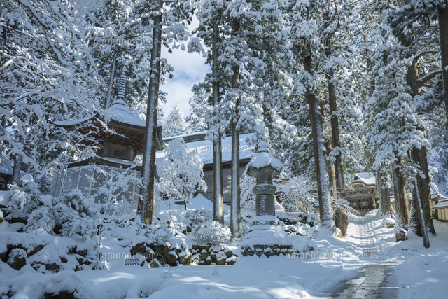 福井県を代表する観光スポット「大本山 永平寺」の雪景色撮影 まるで水墨画のように美しく素晴らしいセカイでした ∩´∀｀