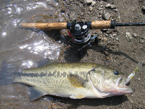 多摩川 バス釣り 奥多摩湖をスクーターでランガン釣行記2020 11月 P.21HCZ