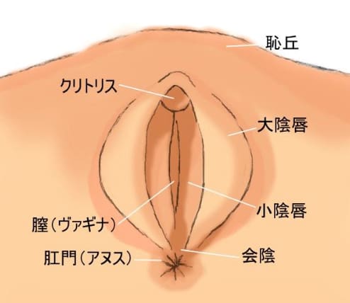 イクときにザーメンをおっぱいとかお尻とかお姉さんのカラダで受け止めてくれるとすんごいシアワセ エロ動画・アダルトビデオ動画 | 楽天TV