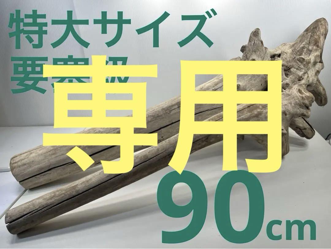 お店からのお知らせ - 即ヌキ・ダレ専DAY