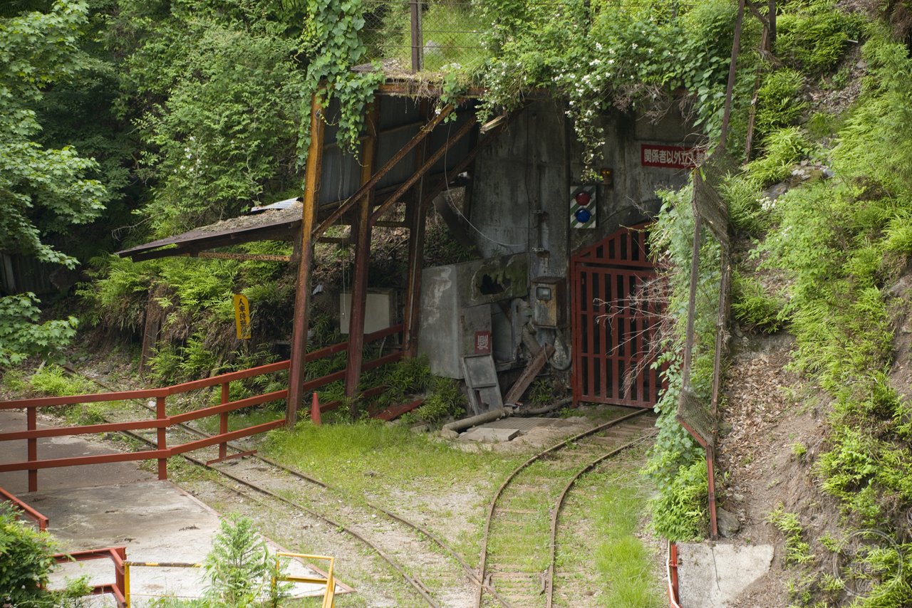 石垣に生える青々とした苔が神秘的、埼玉県秩父市「茶平集落」はうやし報告記 仮