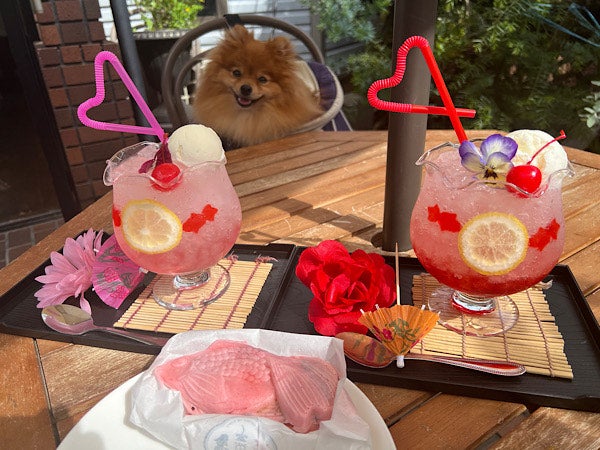 小江戸川越 観光の食べ歩きにおすすめのグルメ＆スイーツ4選！川越プリンからおさつチップまでTABIZINE～人生に旅心を～