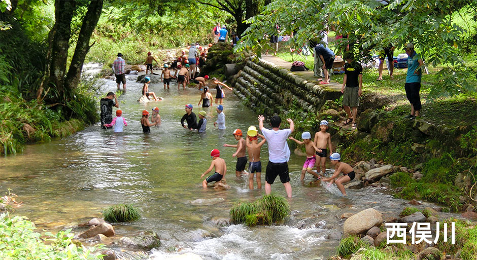 キャンプ場ガイド～清津川フレッシュパーク 十日町市芋川乙 ～ -