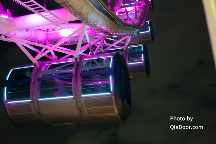 駆け込みシンガポールフライヤー♥15ドル徒然なるままにシンガポール暮らし