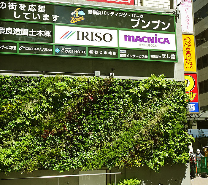 新横浜プリンスホテル 雨の日に朝食が無料になる宿泊プランや紫陽花をイメージしたカクテルをご用意！雨が待ち遠しくなる商品を販売 |  株式会社西武・プリンスホテルズワールドワイドのプレスリリース