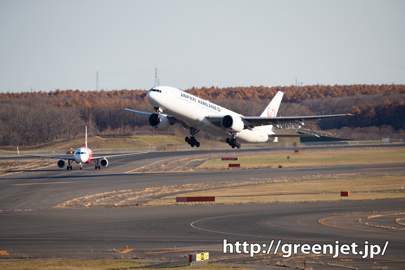 冬の新千歳空港で飛行機写真撮影 ターミナルでは暖房の効いたフードコートと大空ミュージアムがおすすめ！シテイリョウコウ