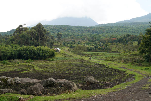 ヴィルンガ国立公園 - 世界遺産を学ぶ