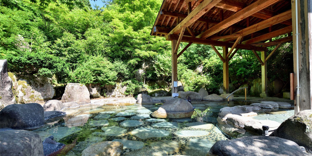 世界一大きくて臭い花が開花 日本最北の開花を記録