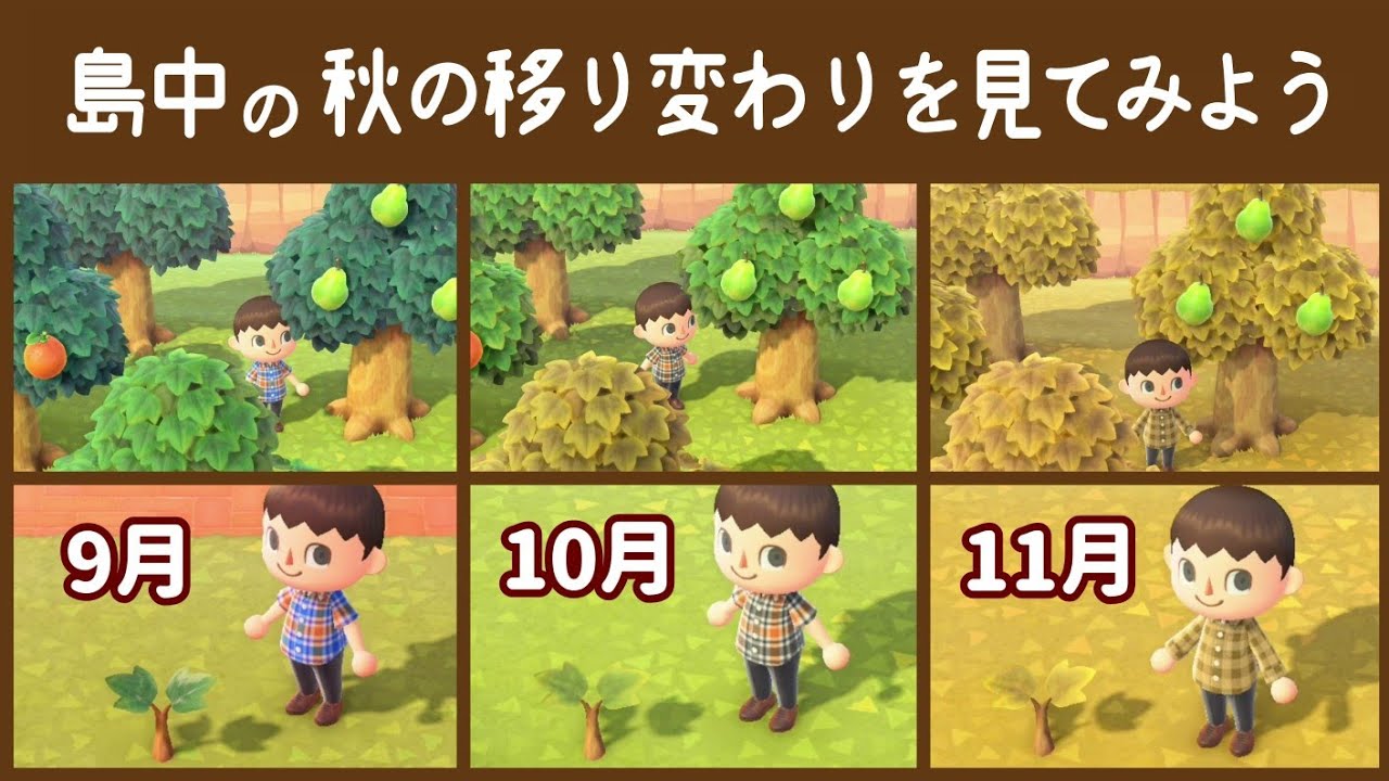 秋の季節レシピの出現確率どんな感じ？低すぎない！？みんなのあつ森