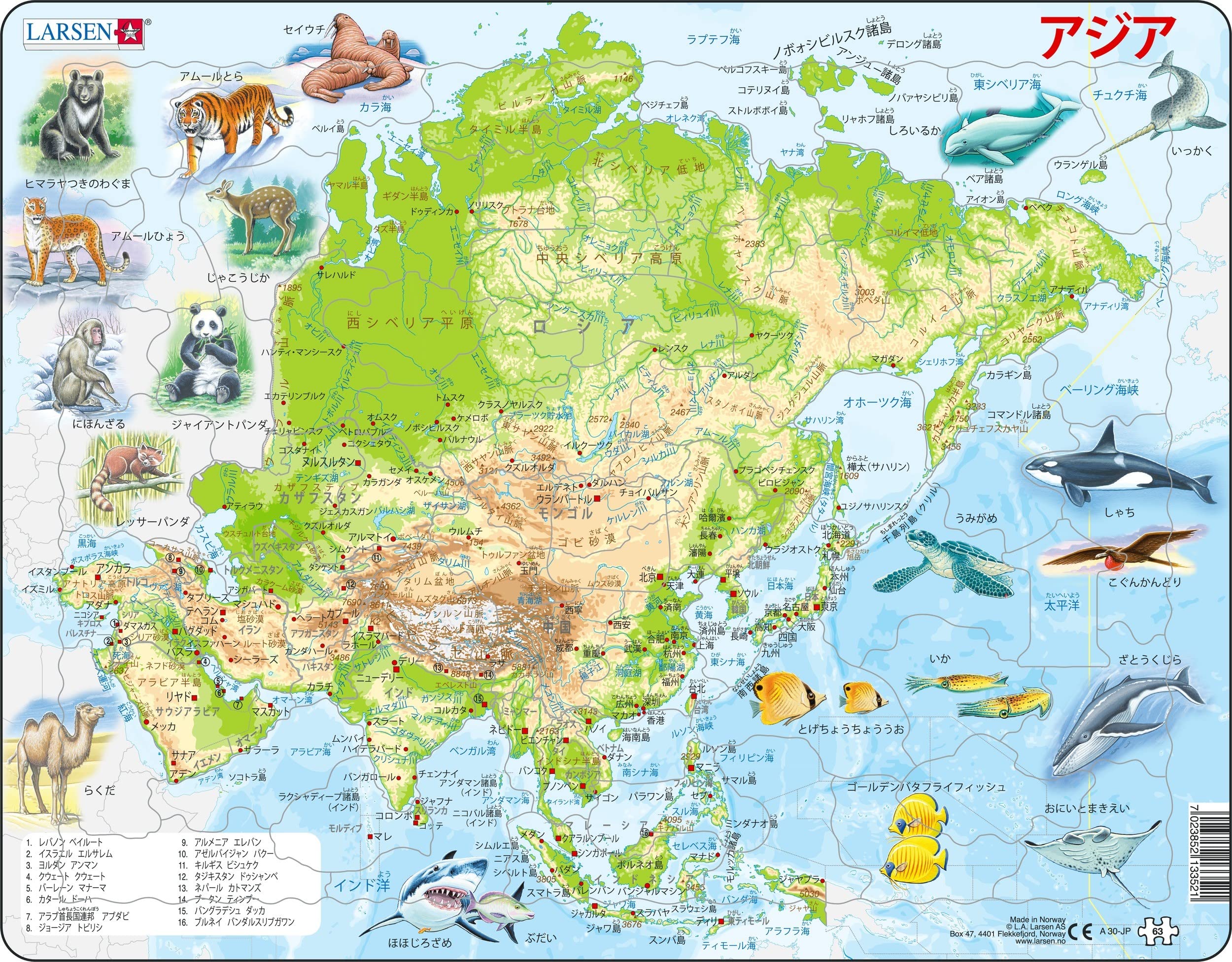 ノルウェーの国旗と地図