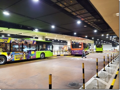 ANA国際線の自動手荷物預け機の使い方リブエア