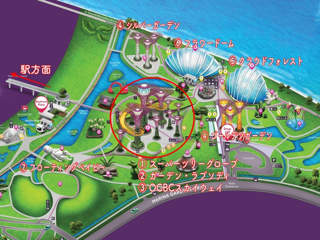 2025最新！シンガポール ガーデンズバイザベイの割引チケットや行き方は？ 見どころ・所要時間まとめ