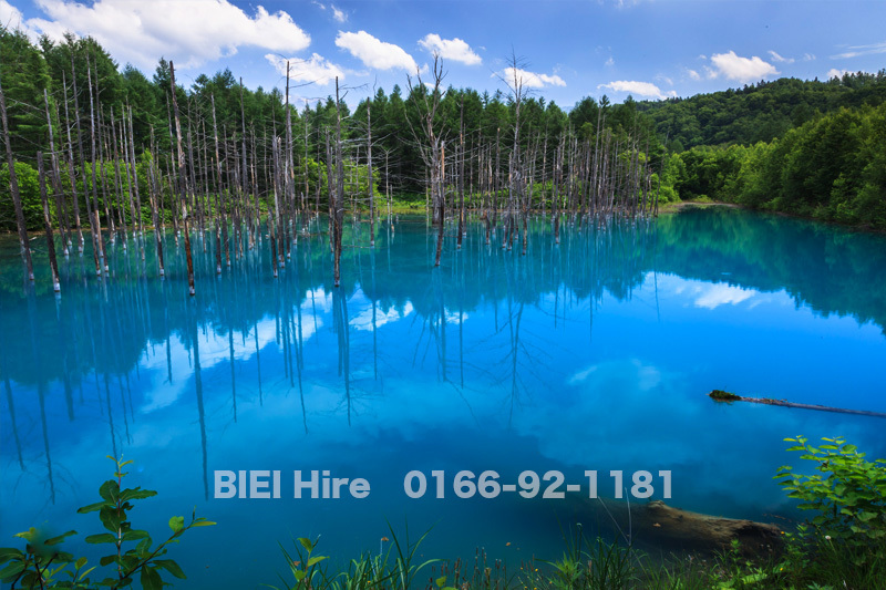 意外と知らない、美瑛・青い池の秘密。季節や時間で変化する青の魅力とアクセスなどの基本情報札幌観光バス