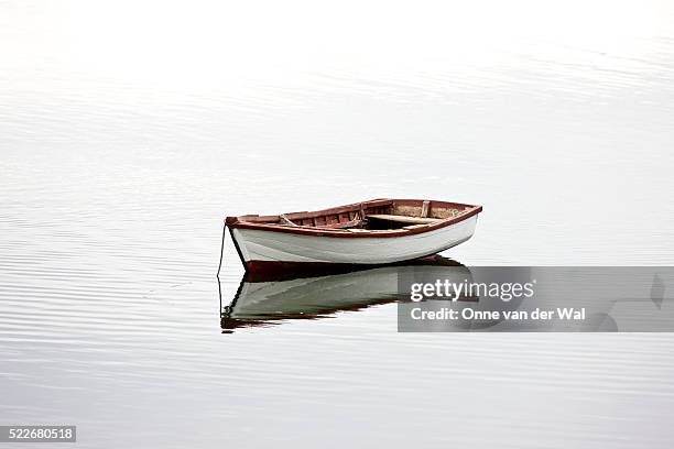 ワンちゃん用手漕ぎボートはじめました！木崎湖モダンボート