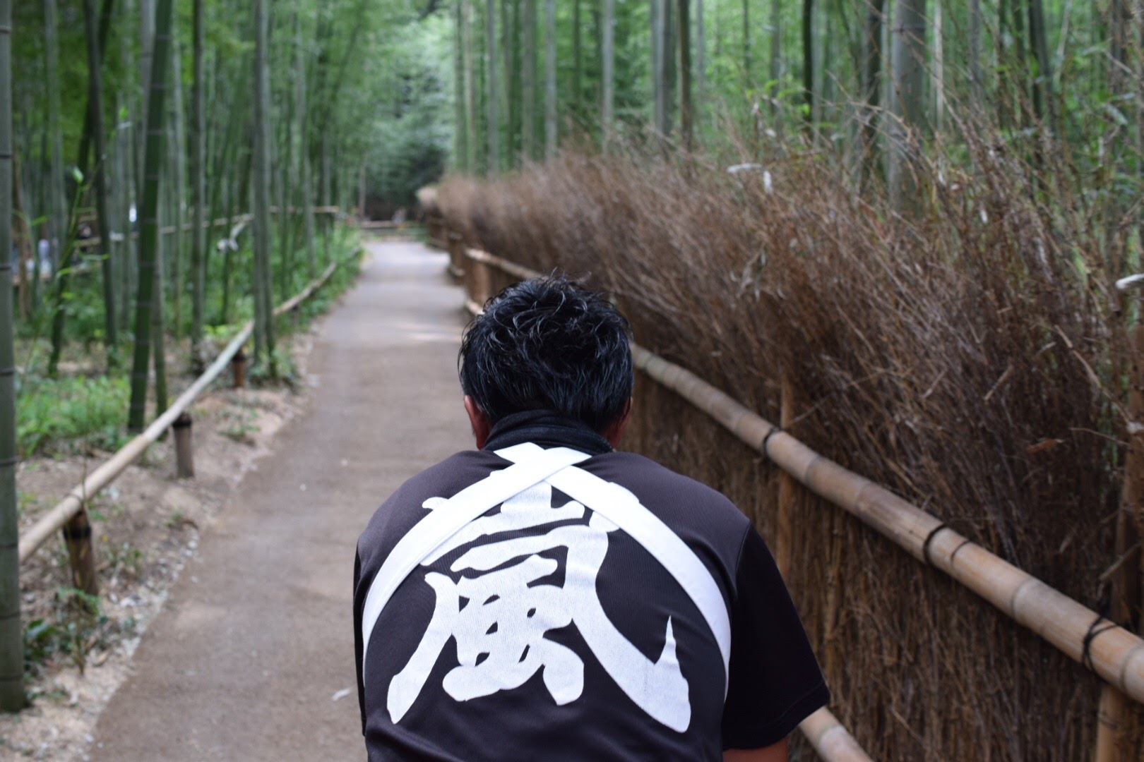 人力車京都 旅行の観光・オプショナルツアー予約 VELTRA ベルトラ