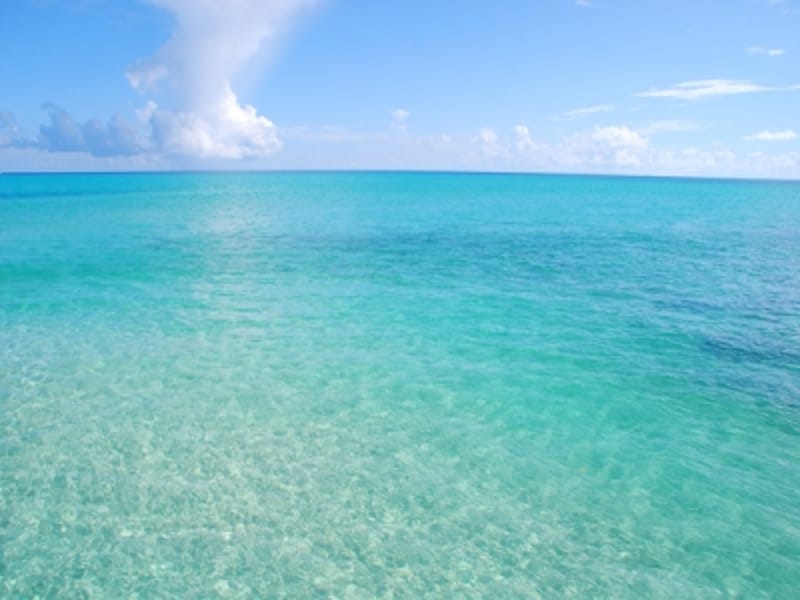 年に一度だけ姿を現す幻の島、八重干瀬宮古島の観光・旅行All About