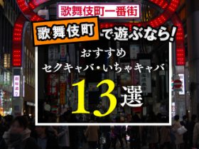 関東のセクキャバ・おっパブ風俗男性求人☆巨乳に囲まれ高収入⁉