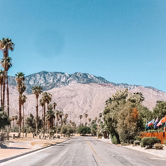 アメリカ ナショナルパークへの旅！ vol.6 サワロ国立公園