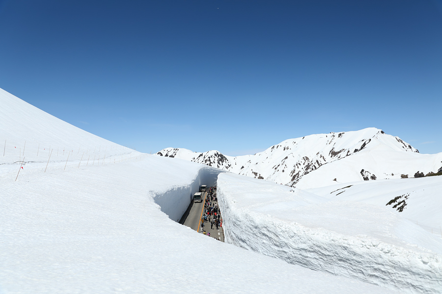 立山山麓スキー場 極楽坂・らいちょうバレー- 富山の天気・積雪情報 -