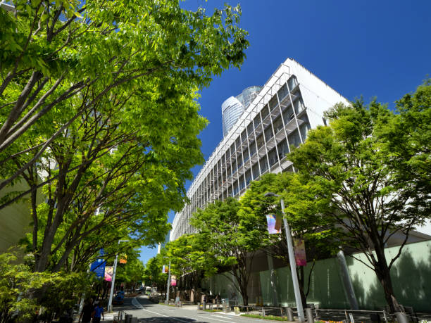港区 ぶらり 緑の散策路「六本木けやき坂通り 六本木さくら坂」