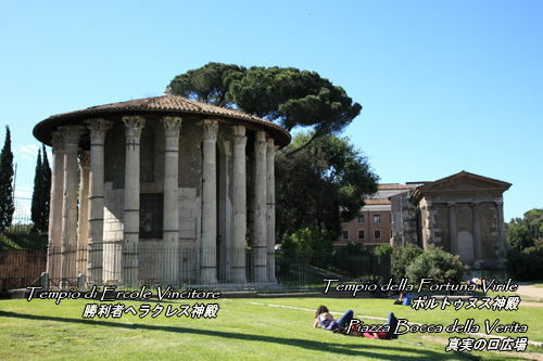 チルコ ・ マッシモから見たイタリアのローマのパラティーノの丘の写真素材・画像素材