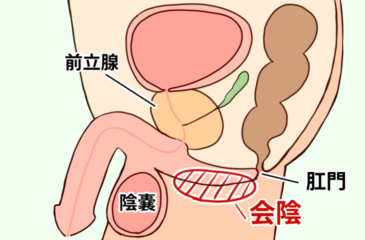 画像]:どこでオナニーするか