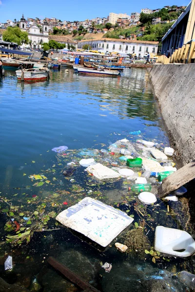 ブラジル、サルバドール・バイーア : r