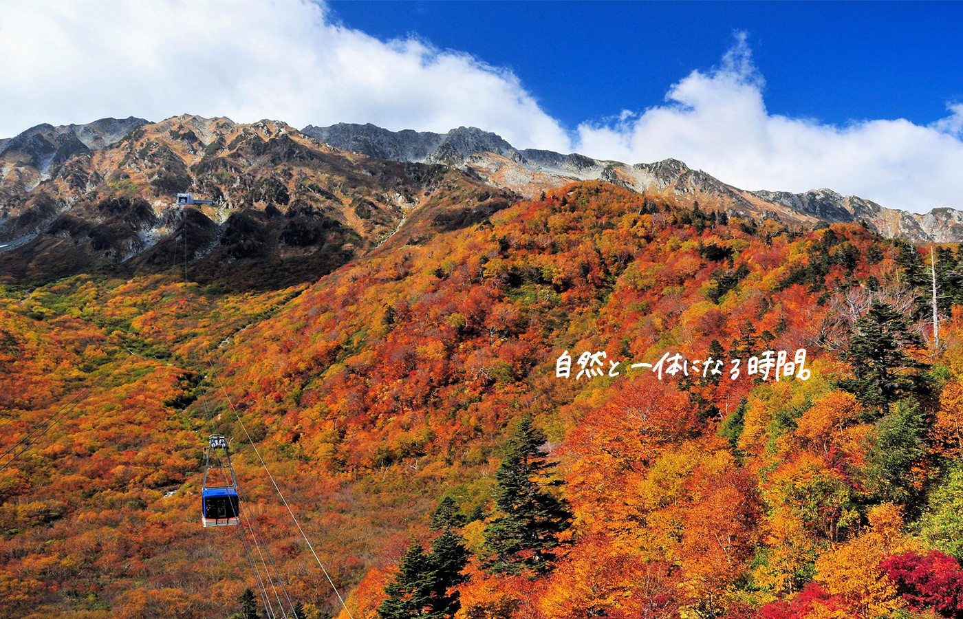立山黒部アルペンルートTrip.com 立山町