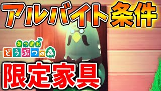 とび森 喫茶ハトの巣を先取りプレイ☕️マスターのアルバイトはココがスゴイ！ あつ森あつまれどうぶつの森アプデアップデート